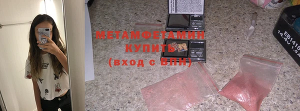 крисы Козельск