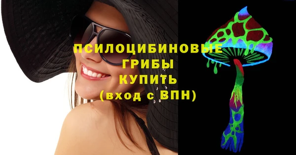 крисы Козельск