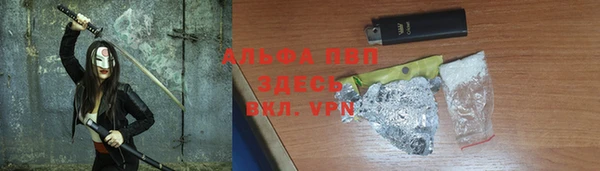 крисы Козельск
