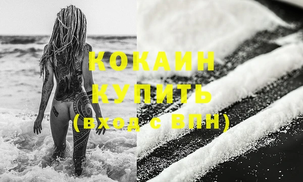крисы Козельск