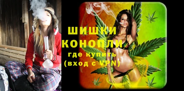 крисы Козельск