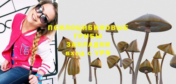 крисы Козельск