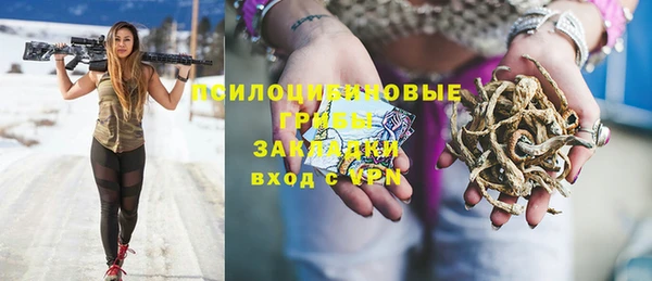 крисы Козельск