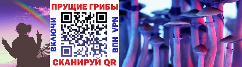 Галлюциногенные грибы GOLDEN TEACHER  Купить закладки  Лаишево 